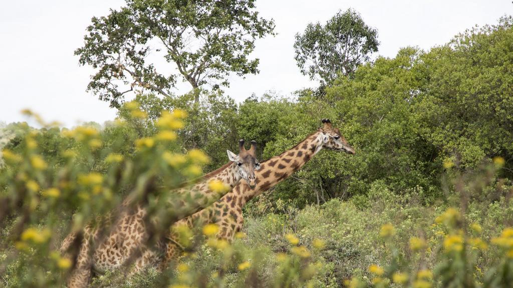 Nature Homes - Africa Amini Life Nkoanrua Esterno foto