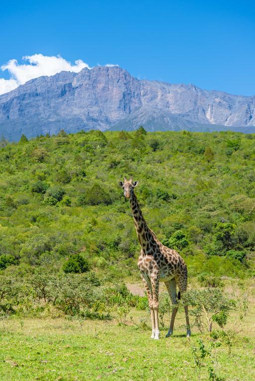 Nature Homes - Africa Amini Life Nkoanrua Esterno foto